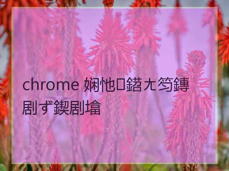 chrome 娴忚鍣ㄤ笉鏄剧ず鍥剧墖