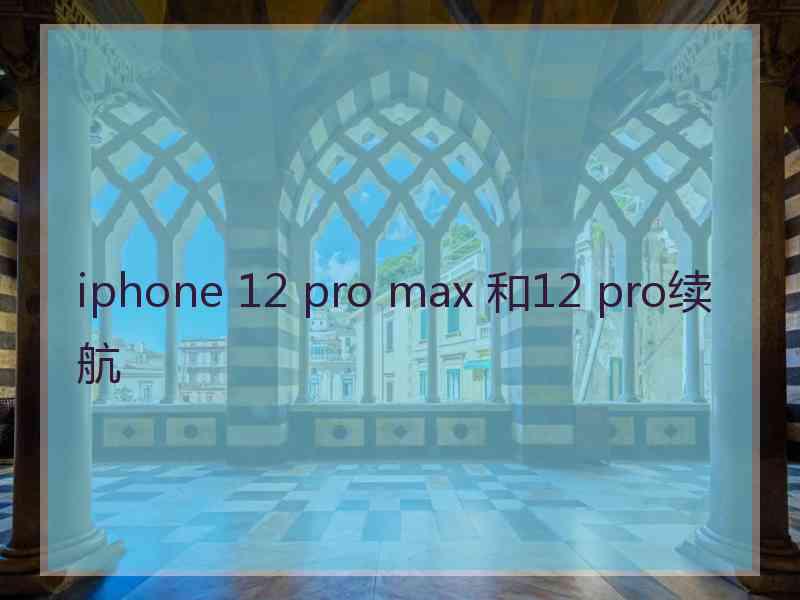 iphone 12 pro max 和12 pro续航