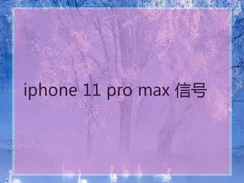 iphone 11 pro max 信号