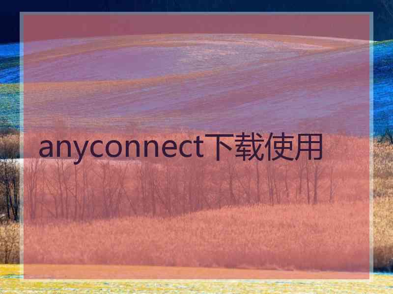 anyconnect下载使用