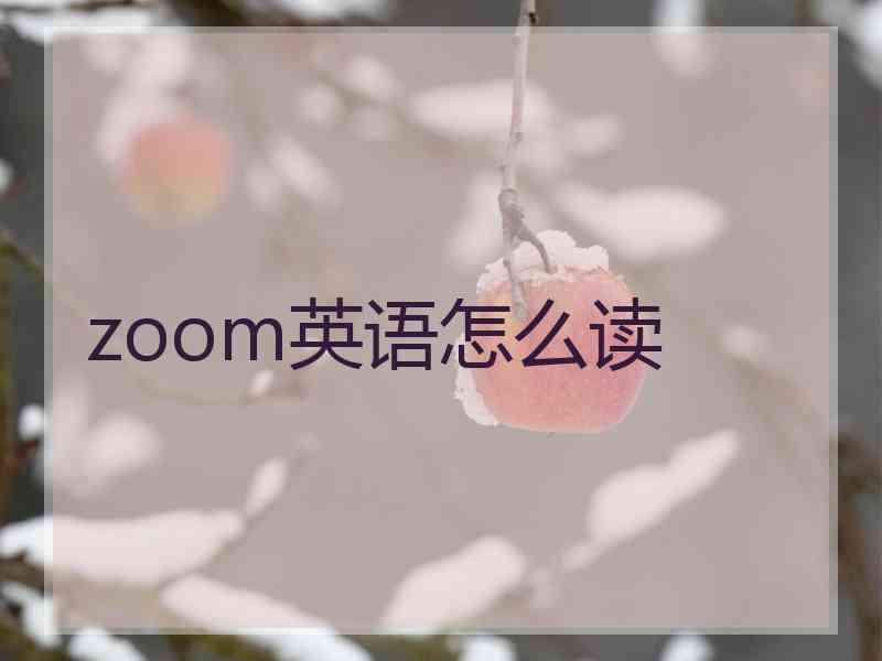 zoom英语怎么读