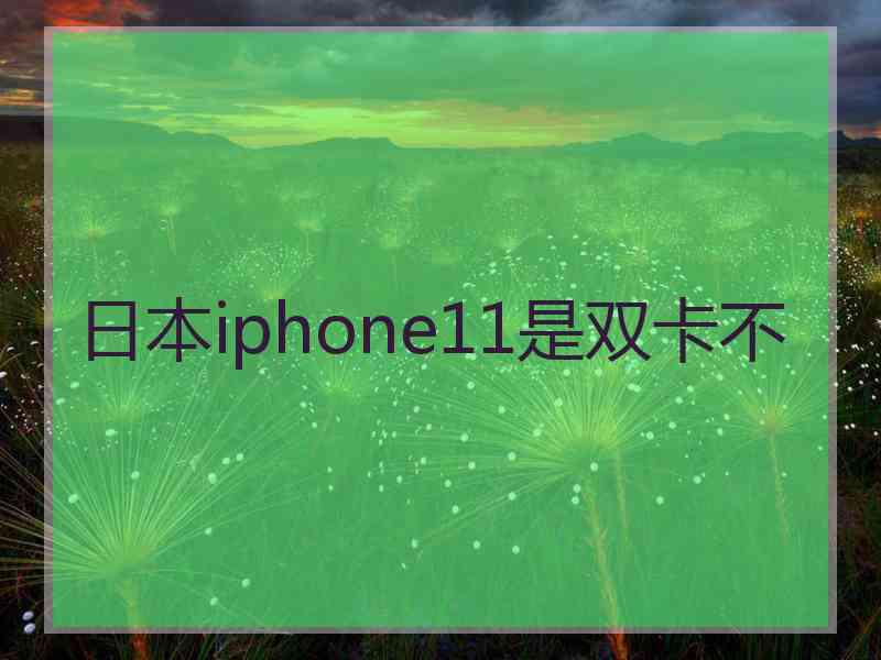 日本iphone11是双卡不