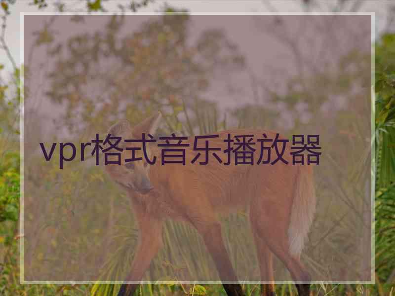 vpr格式音乐播放器