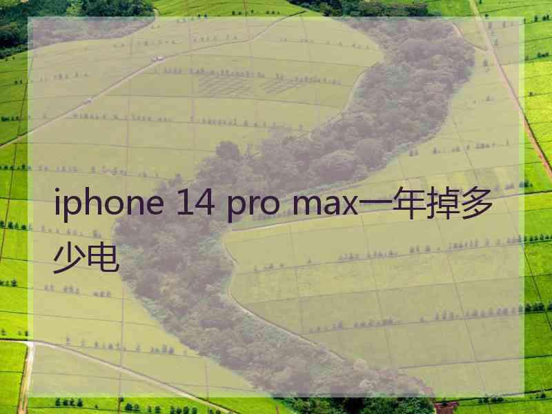 iphone 14 pro max一年掉多少电