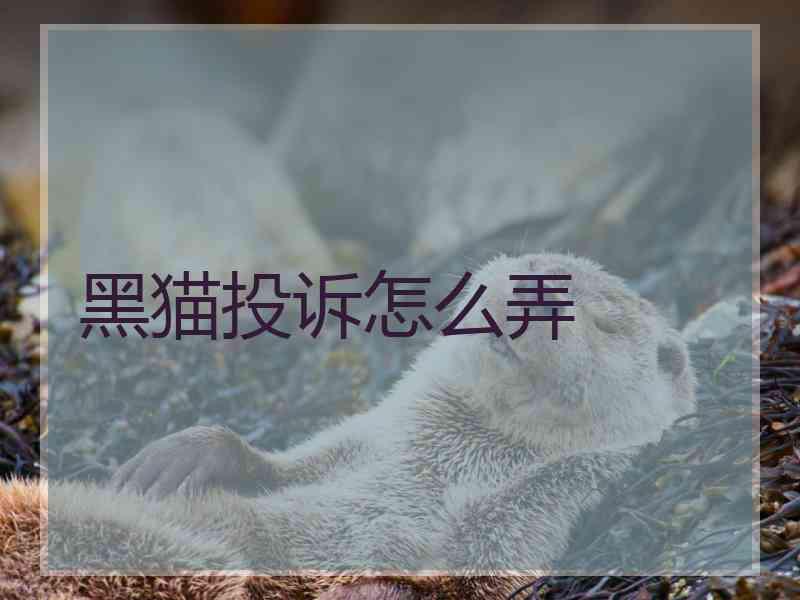 黑猫投诉怎么弄