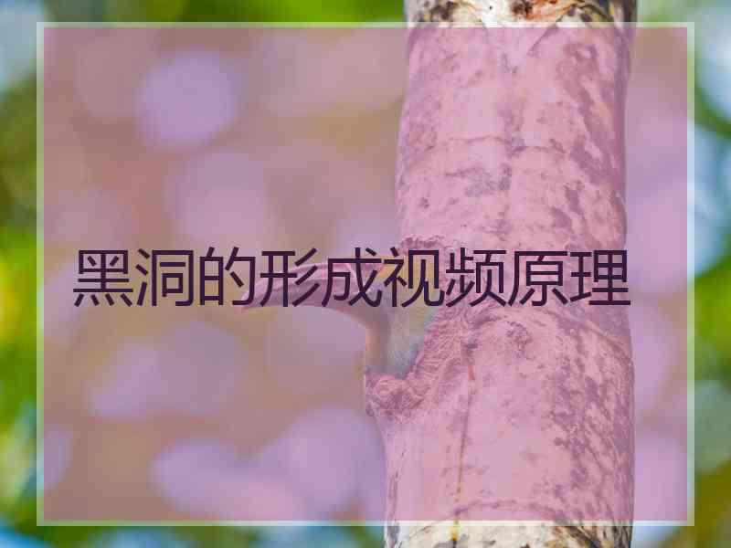 黑洞的形成视频原理