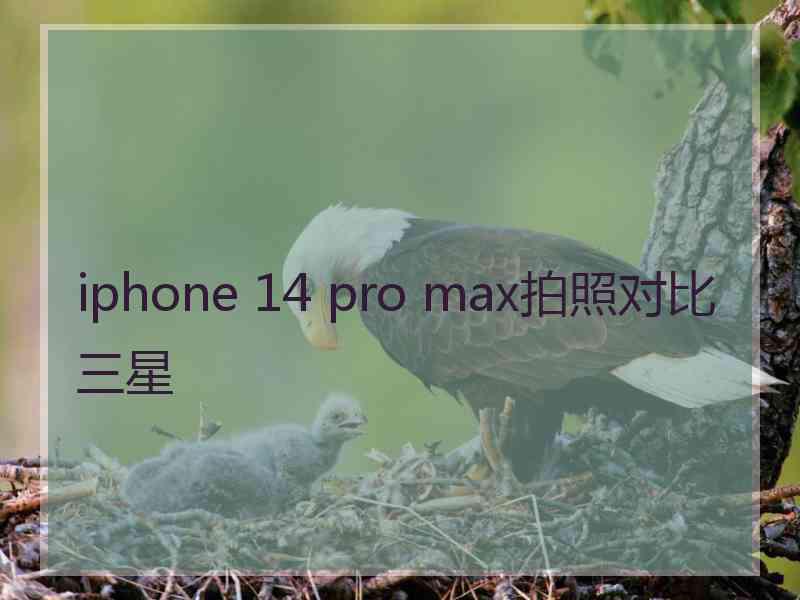 iphone 14 pro max拍照对比三星