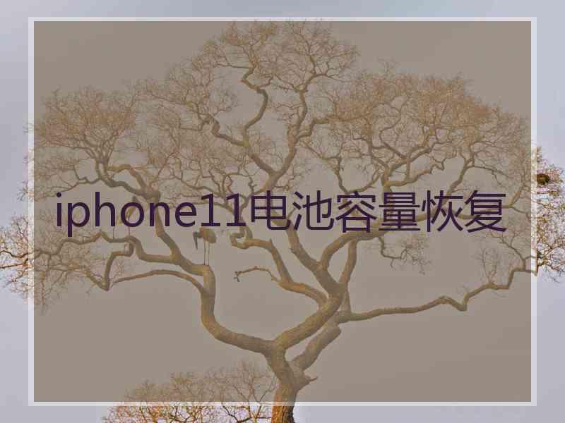 iphone11电池容量恢复