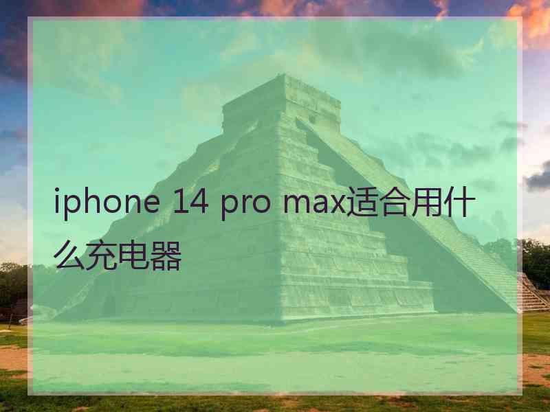 iphone 14 pro max适合用什么充电器