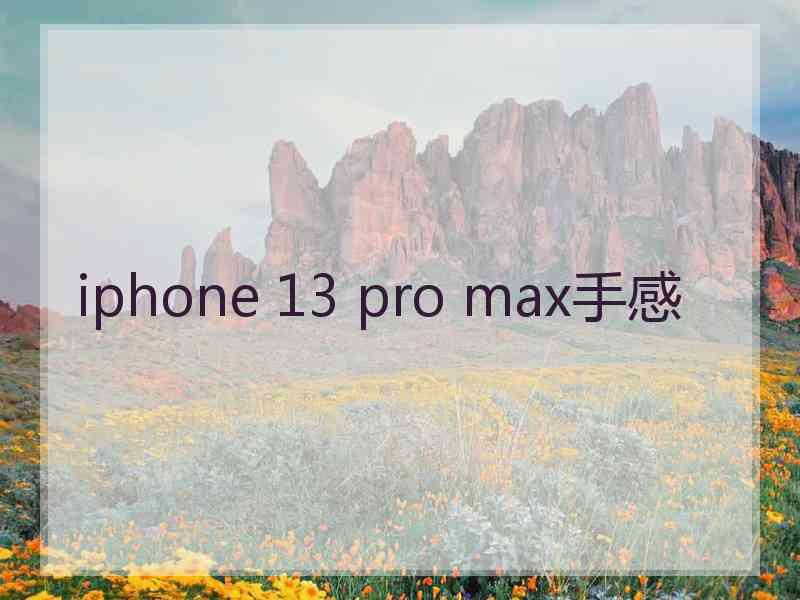 iphone 13 pro max手感