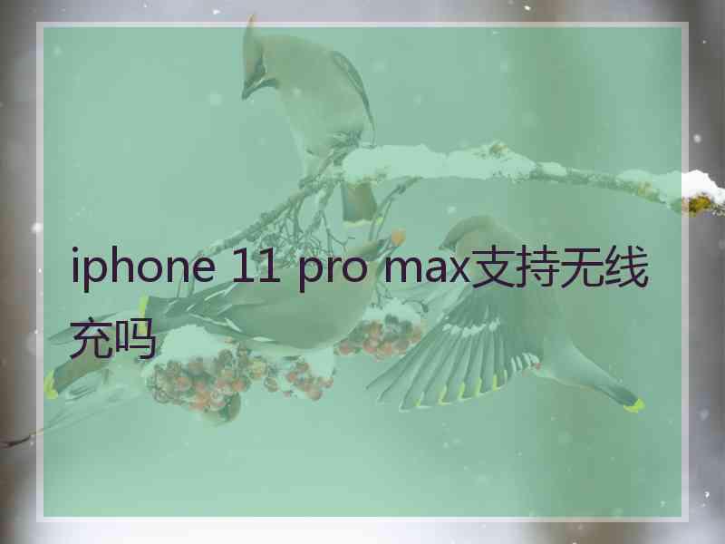 iphone 11 pro max支持无线充吗