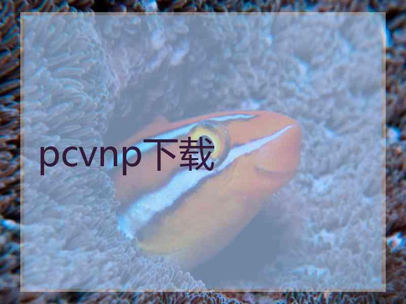 pcvnp下载