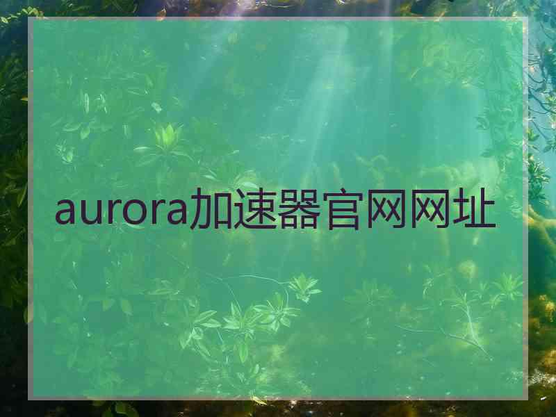 aurora加速器官网网址