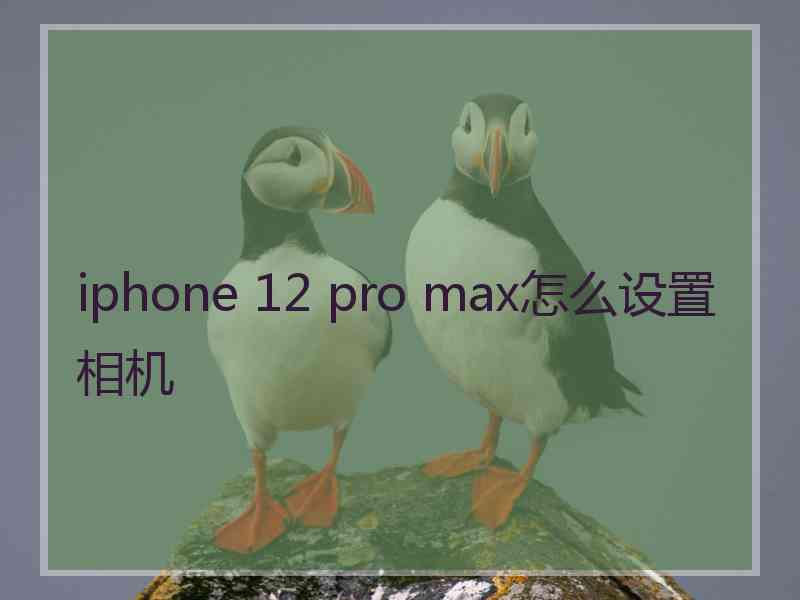 iphone 12 pro max怎么设置相机