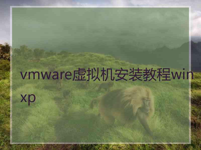 vmware虚拟机安装教程winxp