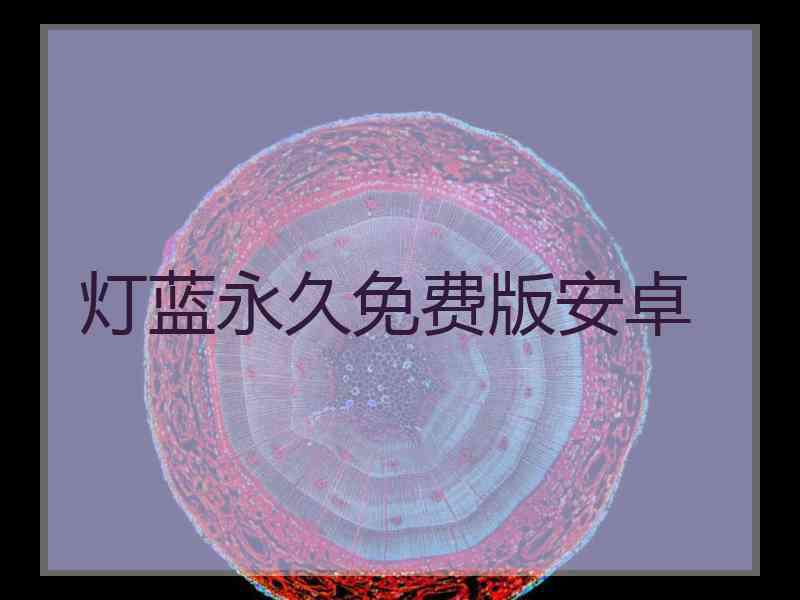 灯蓝永久免费版安卓