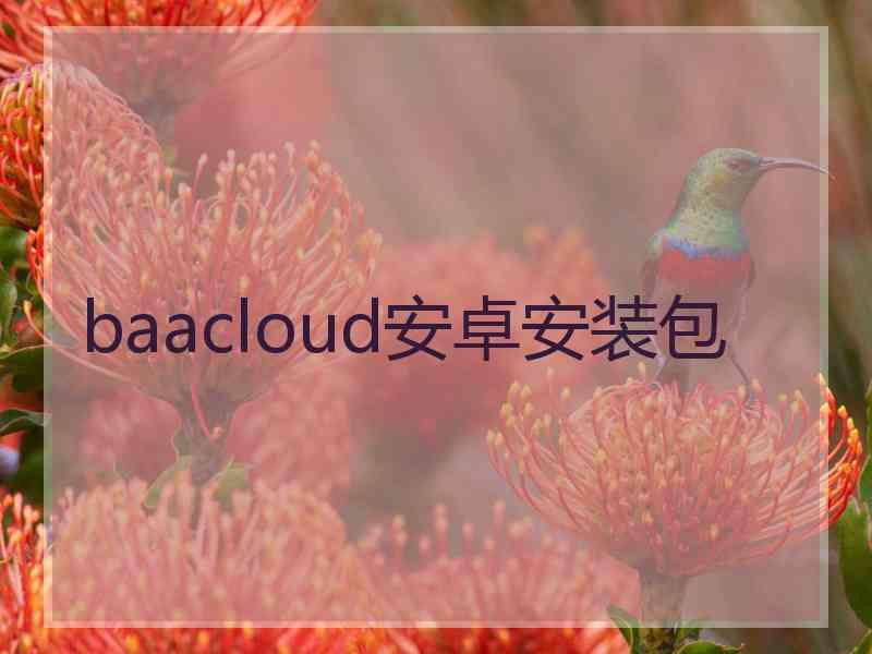 baacloud安卓安装包