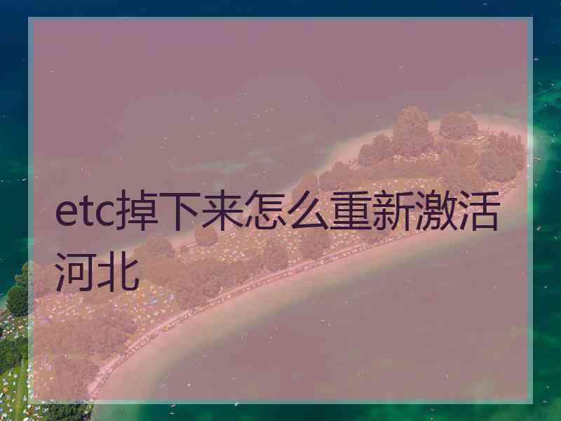 etc掉下来怎么重新激活河北