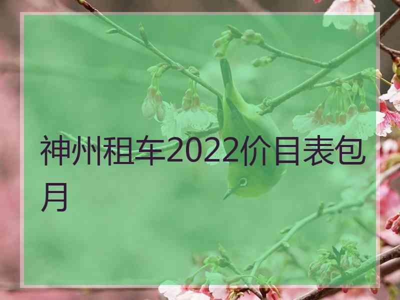 神州租车2022价目表包月