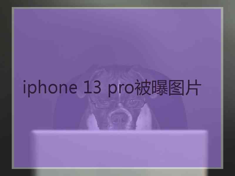 iphone 13 pro被曝图片