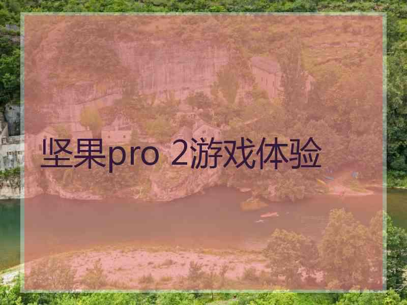 坚果pro 2游戏体验