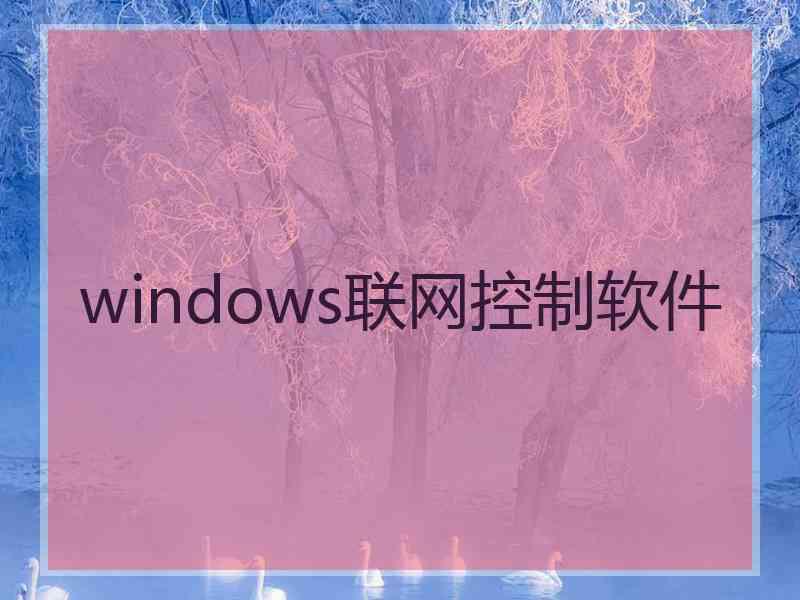 windows联网控制软件