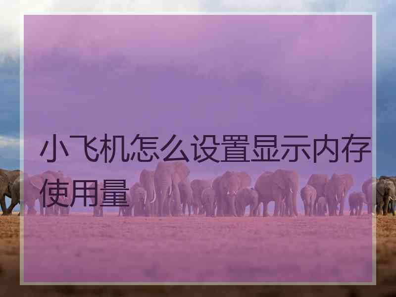 小飞机怎么设置显示内存使用量