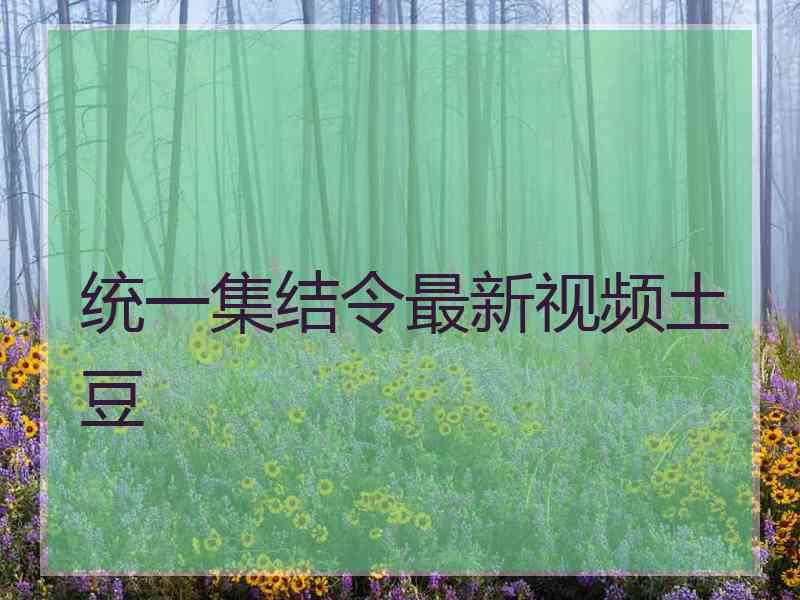 统一集结令最新视频土豆