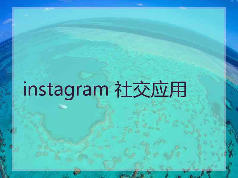 instagram 社交应用