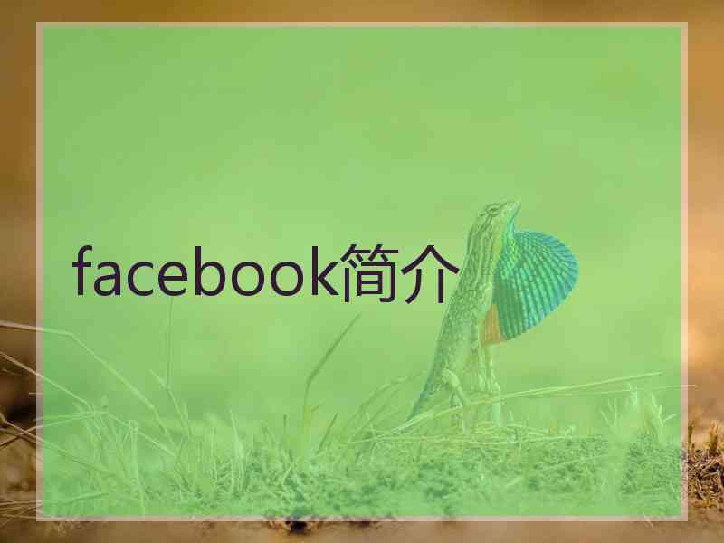 facebook简介