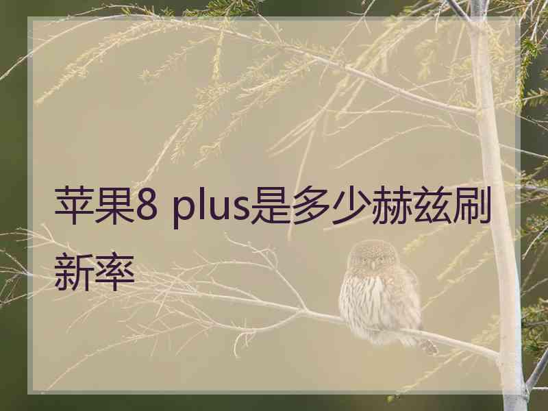 苹果8 plus是多少赫兹刷新率