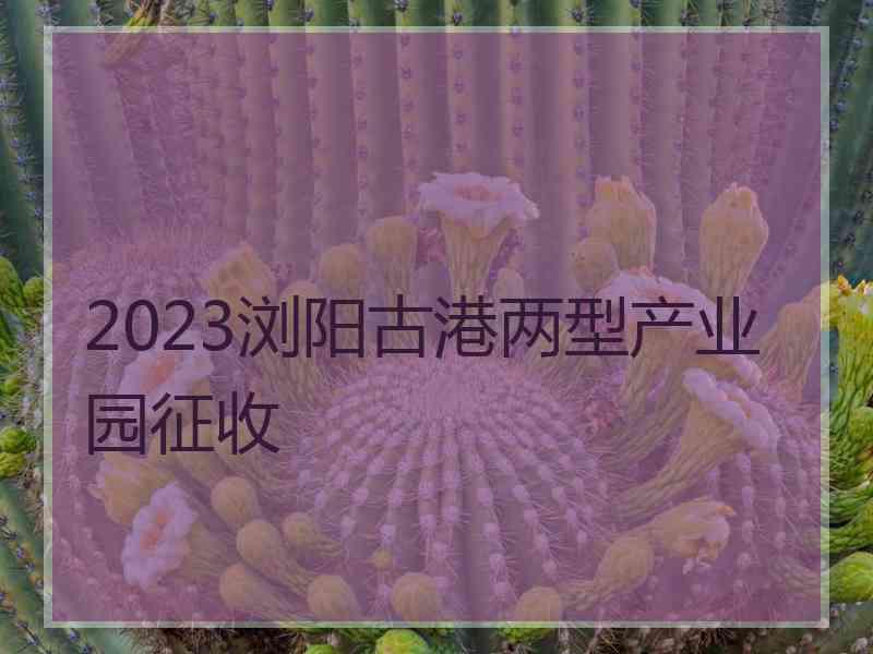 2023浏阳古港两型产业园征收