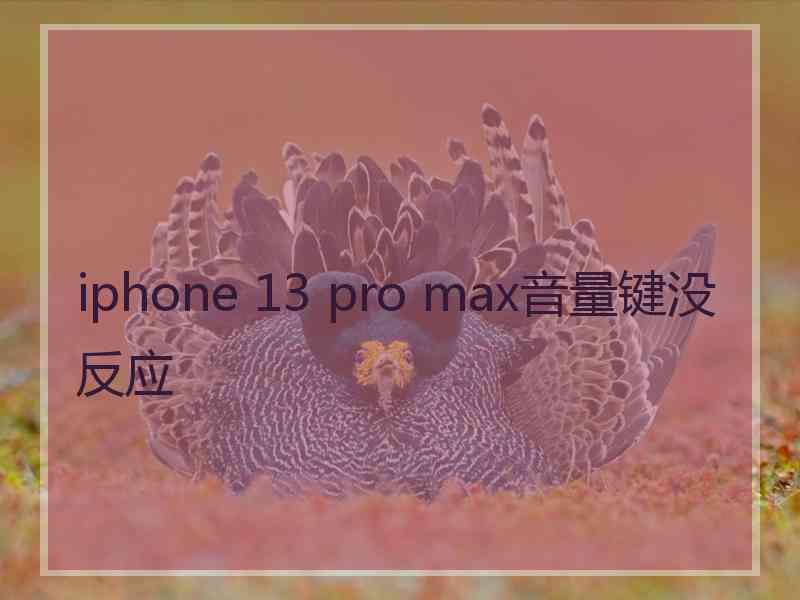 iphone 13 pro max音量键没反应