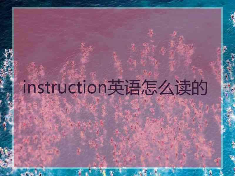 instruction英语怎么读的