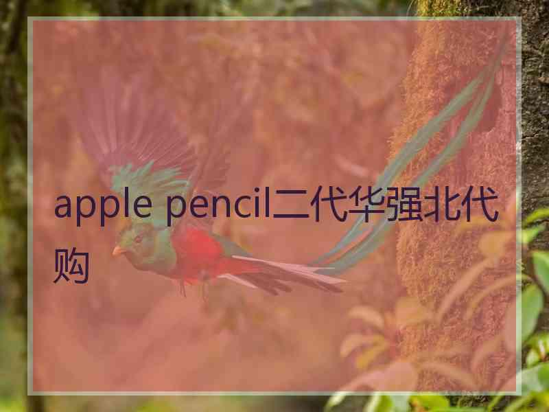 apple pencil二代华强北代购