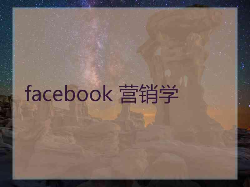 facebook 营销学