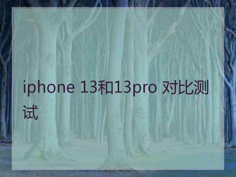 iphone 13和13pro 对比测试