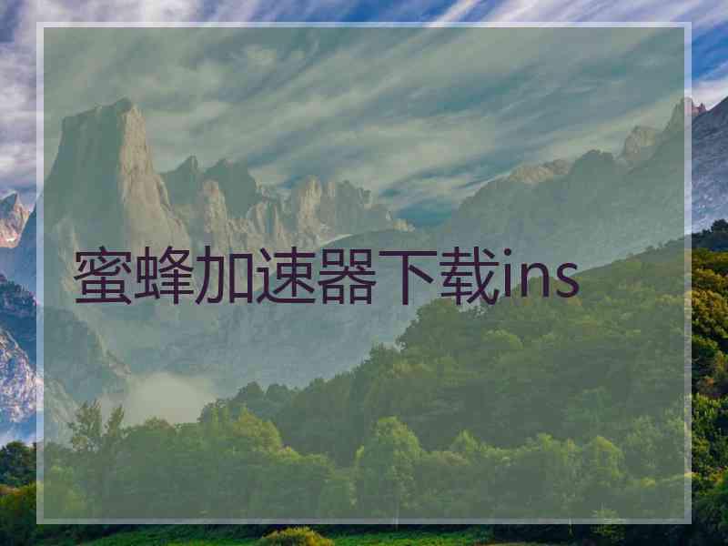 蜜蜂加速器下载ins