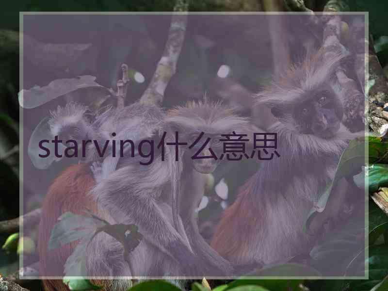 starving什么意思