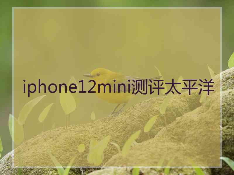 iphone12mini测评太平洋