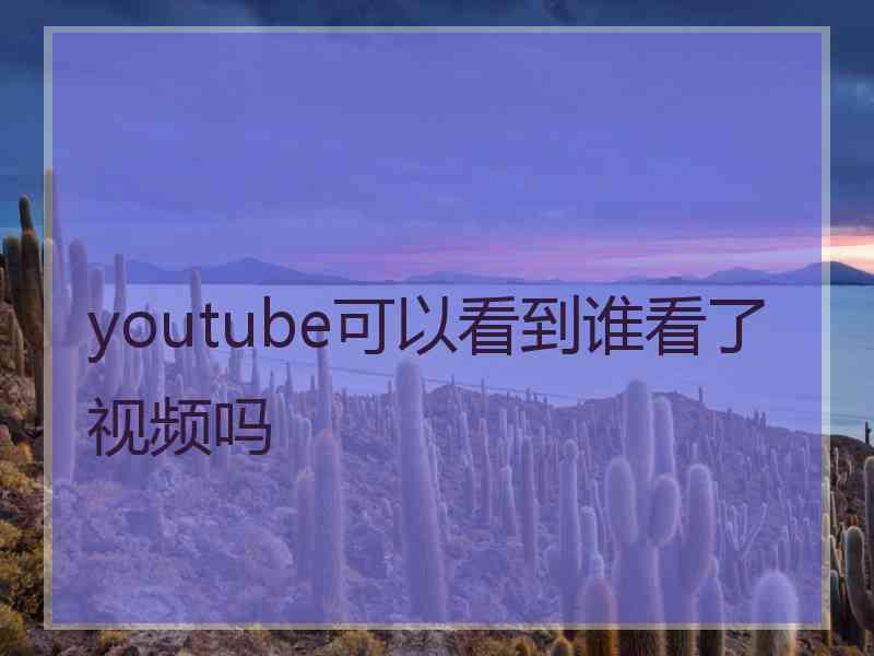 youtube可以看到谁看了视频吗