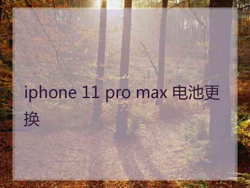 iphone 11 pro max 电池更换