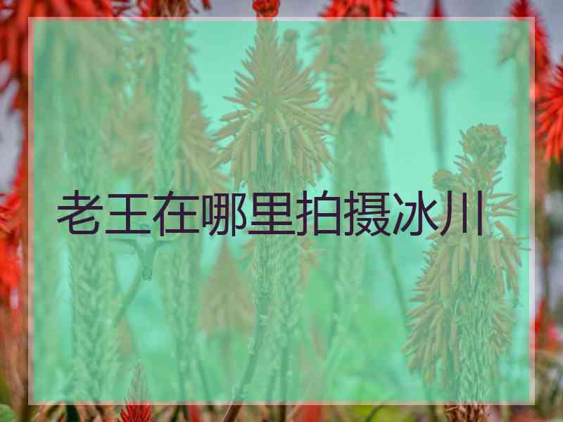 老王在哪里拍摄冰川