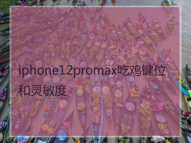 iphone12promax吃鸡键位和灵敏度