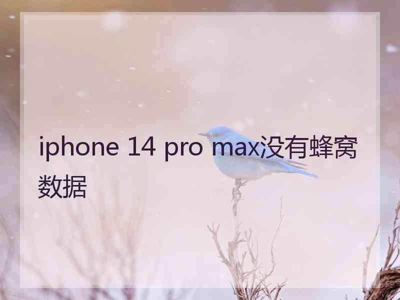 iphone 14 pro max没有蜂窝数据