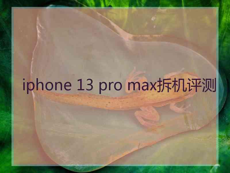 iphone 13 pro max拆机评测