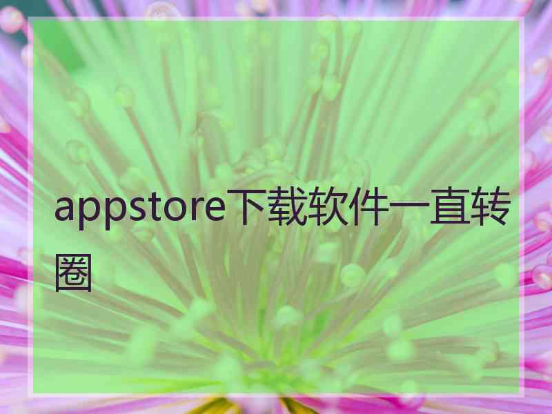 appstore下载软件一直转圈