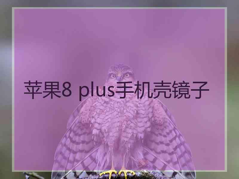 苹果8 plus手机壳镜子