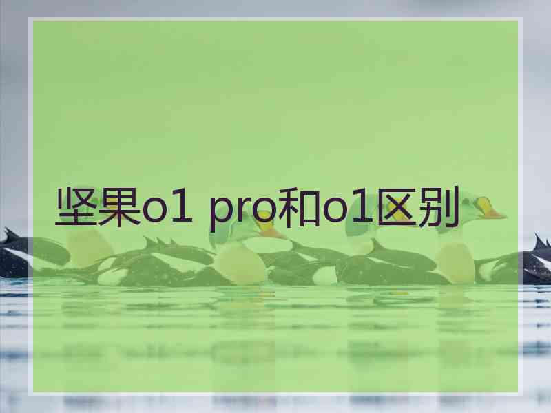 坚果o1 pro和o1区别