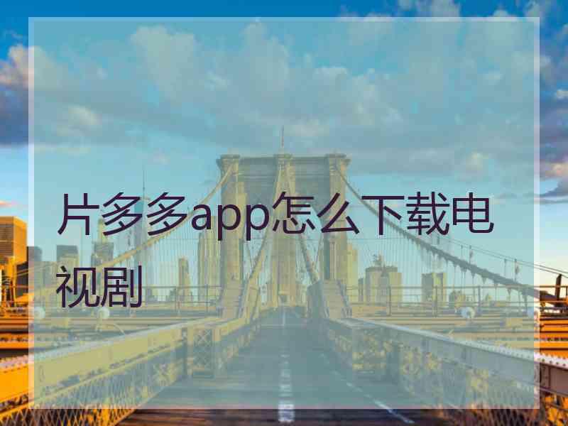 片多多app怎么下载电视剧